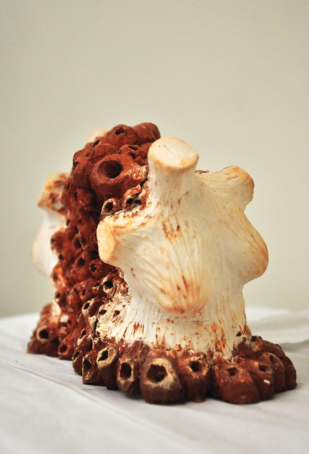 cavity 1
