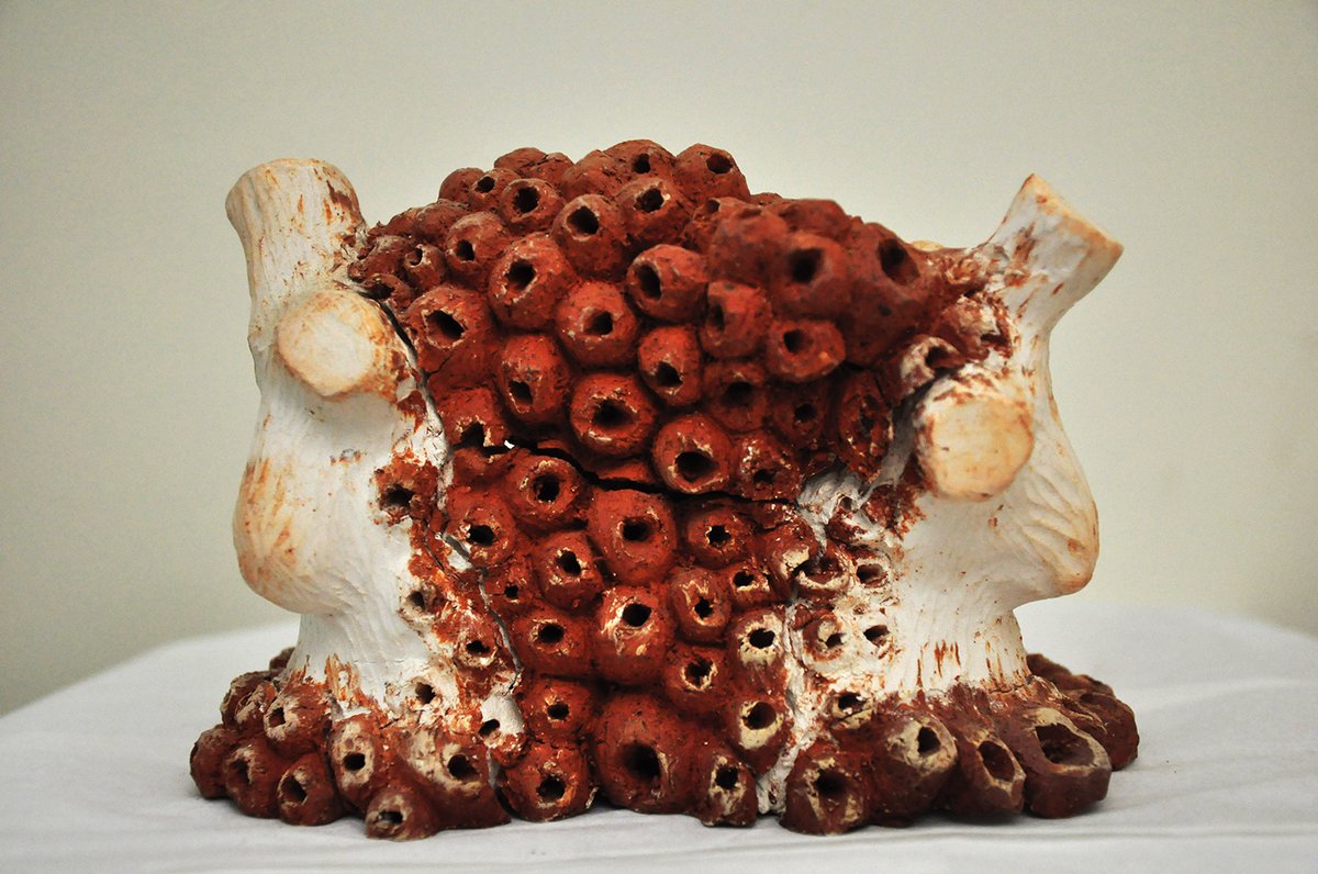 cavity 3